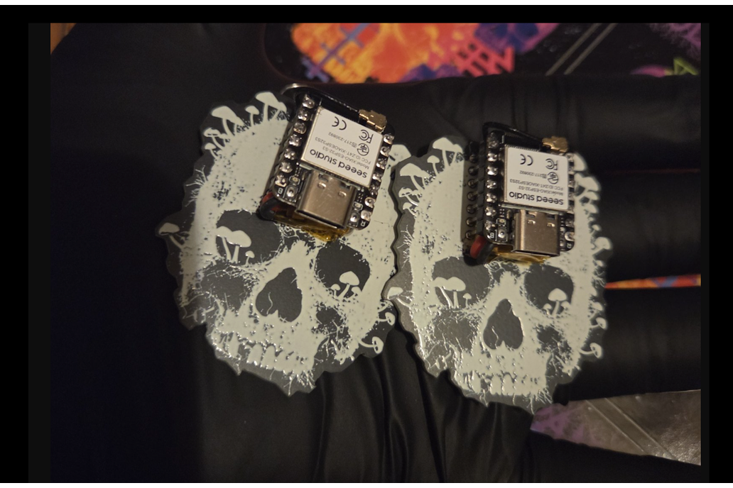 oui-spy earring set 1