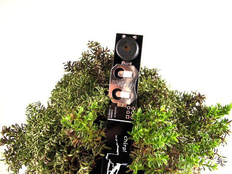 Chirp! plant watering alarm from Catnip electronics on Tindie