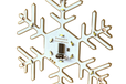 2021-12-12T19:02:33.192Z-Snowflake White background.png