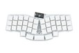 2024-01-26T00:06:31.926Z-revuing_white.jpg
