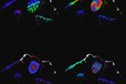 2024-08-16T03:56:24.553Z-5.jpg