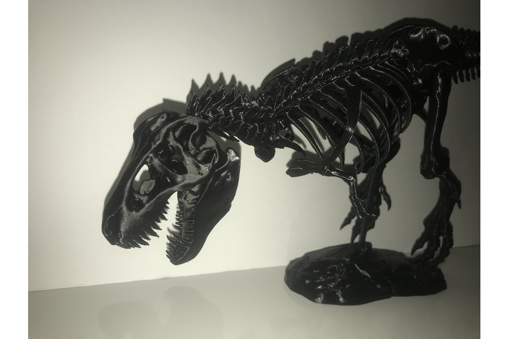 3D Printed Tyrannosaurus Rex T-rex Skeleton Puzzle 1