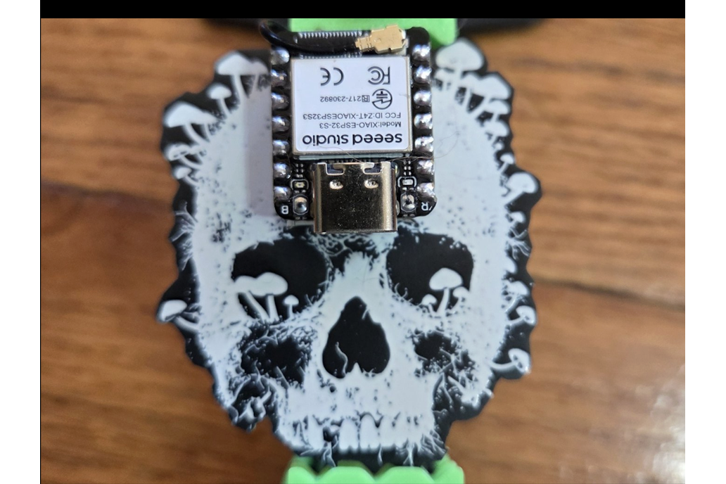 Oui Spy Skull Badge/Pendant 1