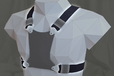 2024-02-29T04:35:29.067Z-harness.png