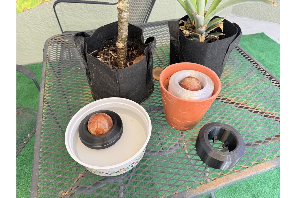 Avocado Seed Float 1