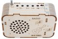 2023-06-29T02:30:10.239Z-ICStation_DIY_Wooden_Radio_Kit.3.JPG