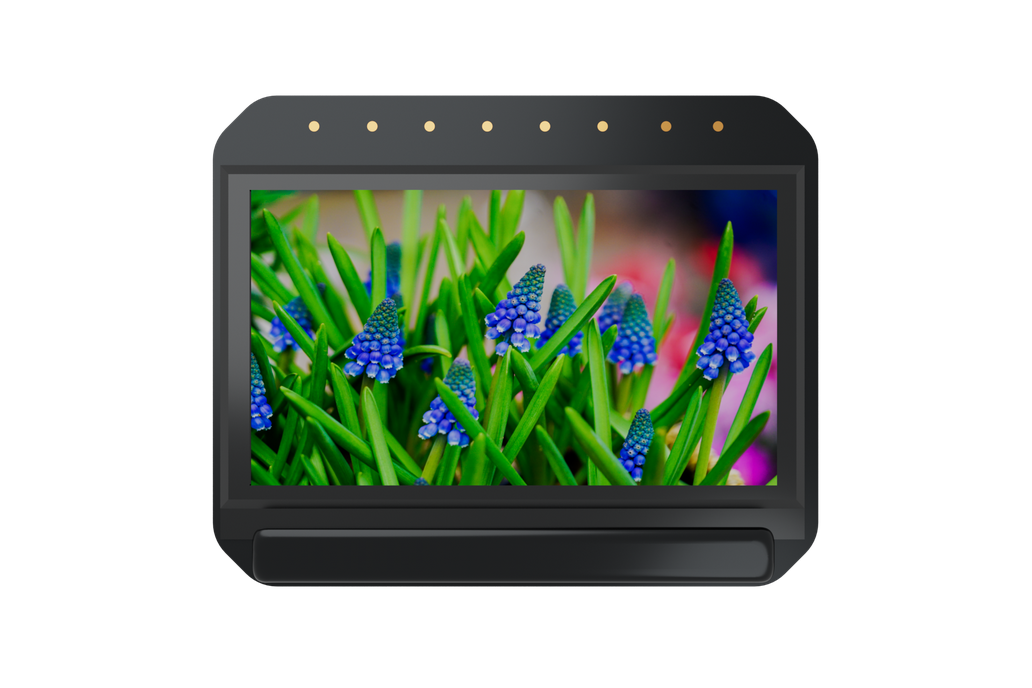 GZOT FHD 1.2 inch oled microdisplay 1