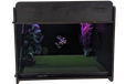 2025-01-08T01:29:47.534Z-PXL_20240507_222411415.RAW-01.COVER-nobg.png