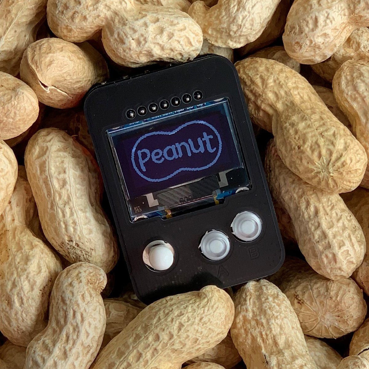 Groundnut Gaming