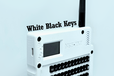 2025-02-12T03:52:15.834Z-Cover Picture2.png