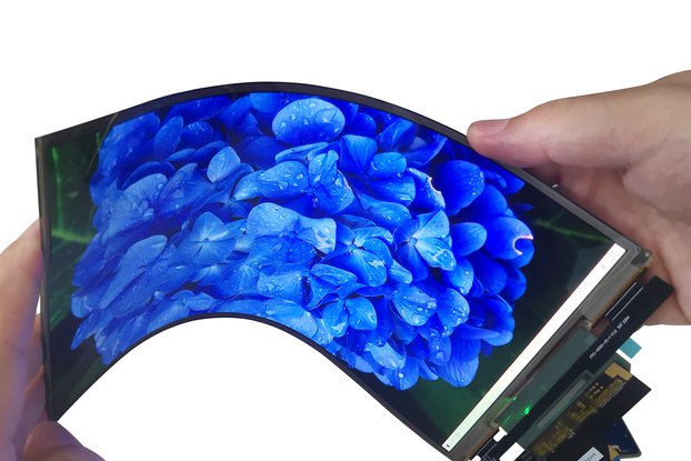 Flexible OLED 10.1"inch AMOLED Display 1242*2208