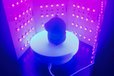 2025-01-15T08:24:37.832Z-Weixin Image_20250113170339.jpg