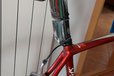 2024-11-11T21:52:38.081Z-signal-2024-11-11-224540..jpeg