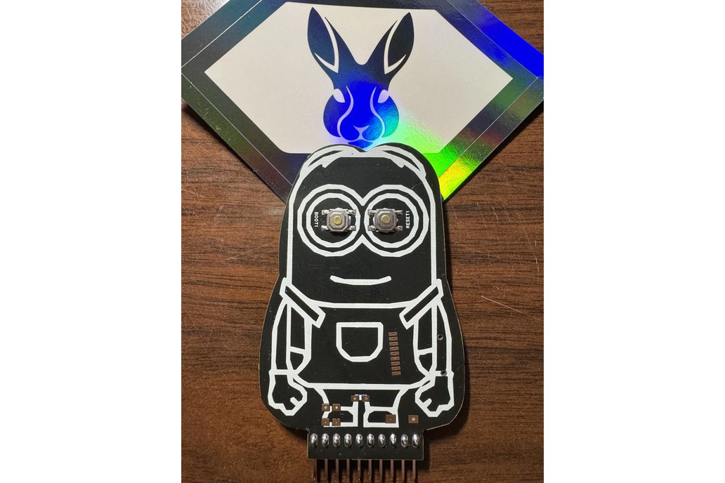 Rabbit-Labs - Minion Marauder 1