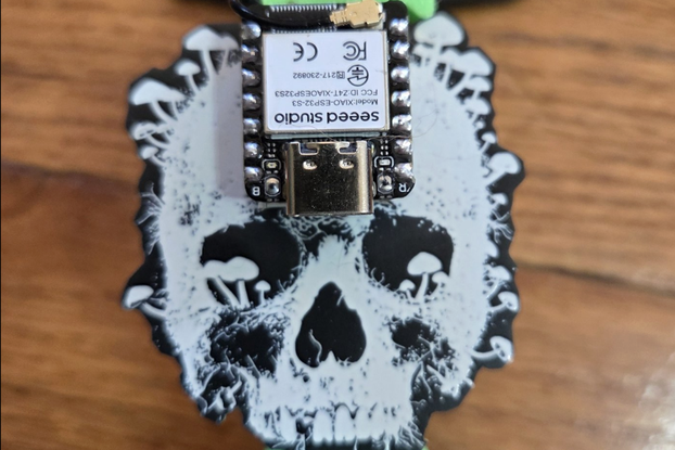 Oui Spy Skull Badge/Pendant