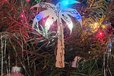 2024-12-06T22:03:50.447Z-20231211_152354.jpg