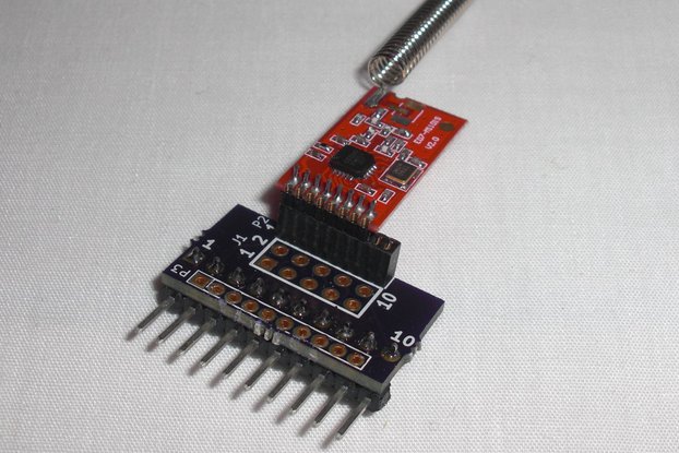 10-Pin RF Module Combo Adapter