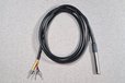 2024-06-13T23:23:31.225Z-DS_Ferrule_1_3_2.jpg