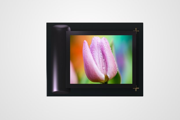 GZOT 0.61 inch oled microdisplay