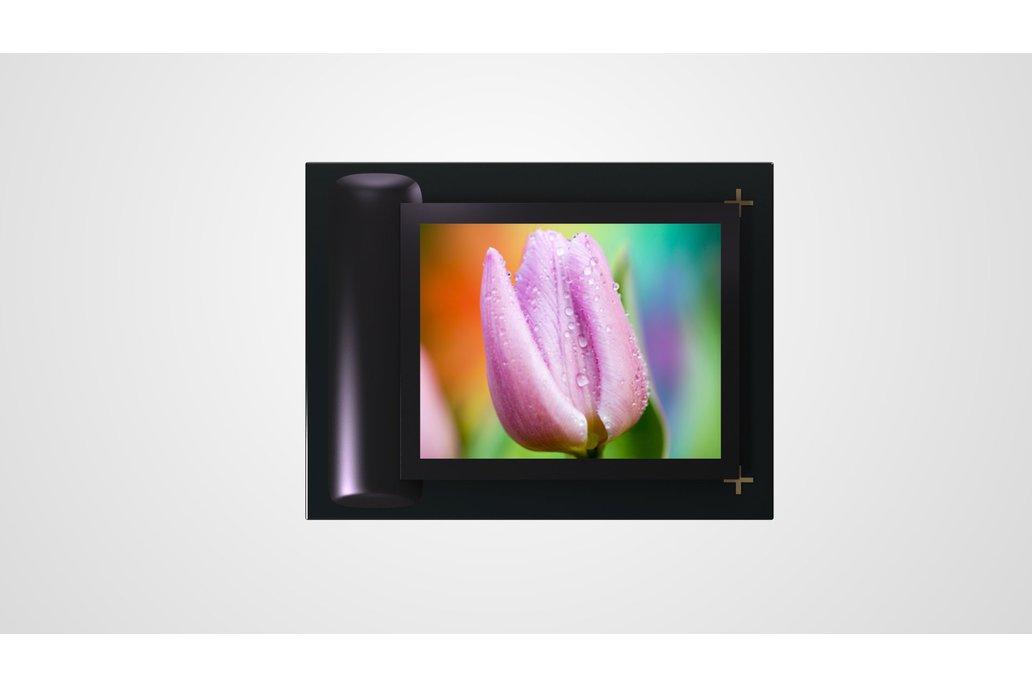 GZOT 0.61 inch oled microdisplay 1