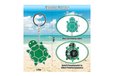 2025-06-16T06:00:50.074Z-DIY_Turtle_Keychain_Kit_4.jpg
