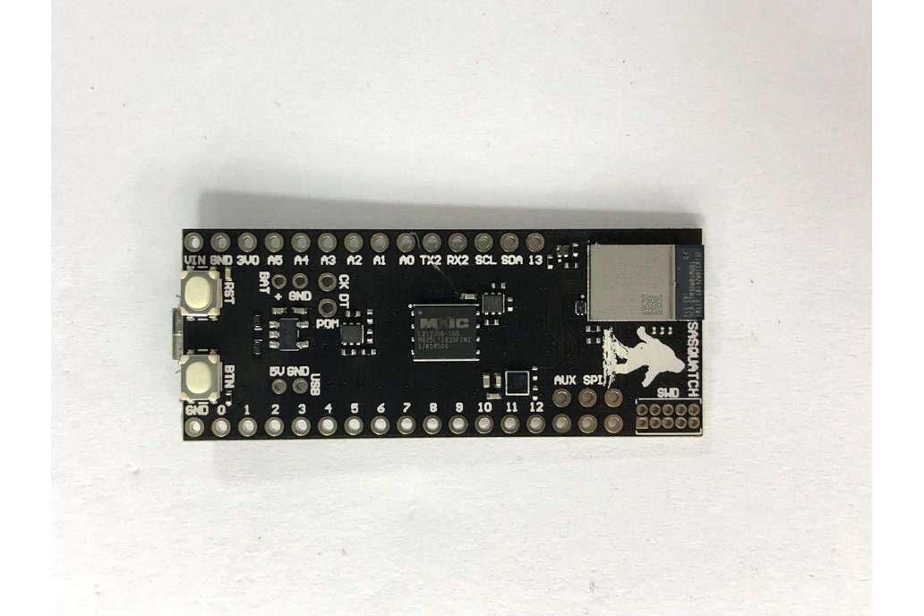 Sasquatch-STM32WB5MMG Development Board 1