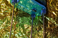 2024-09-05T14:50:18.014Z-s-l1600 (1).png
