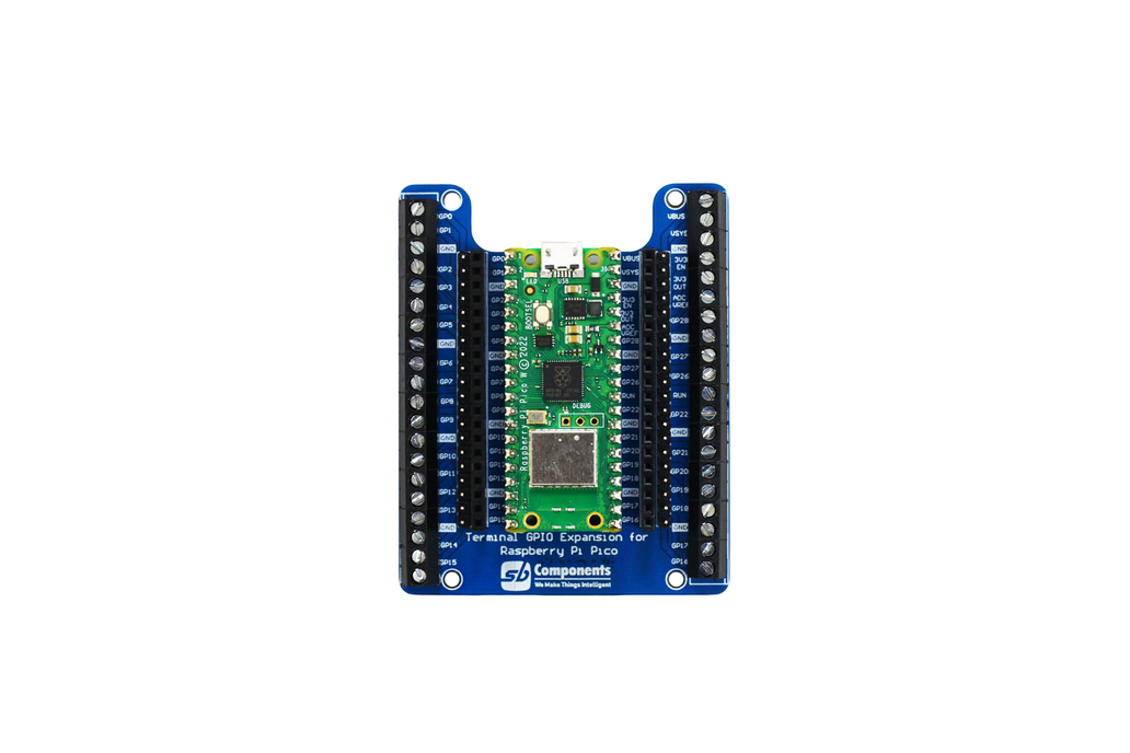 Terminal GPIO Expansion for Pico 1