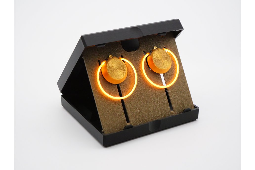 Halo LED Earrings: Travel Display Case 1