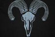 2024-08-25T22:52:25.397Z-ram-mens-graphic-tshirt-2.jpg