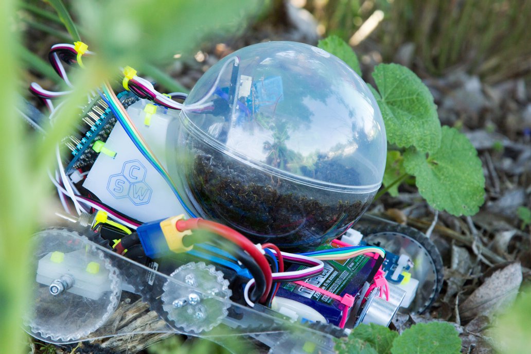 Plantoid Robot: Tenax Kit 1