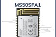 2024-10-22T10:03:02.504Z-MS50SFA1.jpg