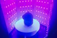 2025-01-13T08:43:24.956Z-Weixin Image_20250113170402.jpg