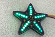 2021-09-15T15:49:29.538Z-starfish-g02.png