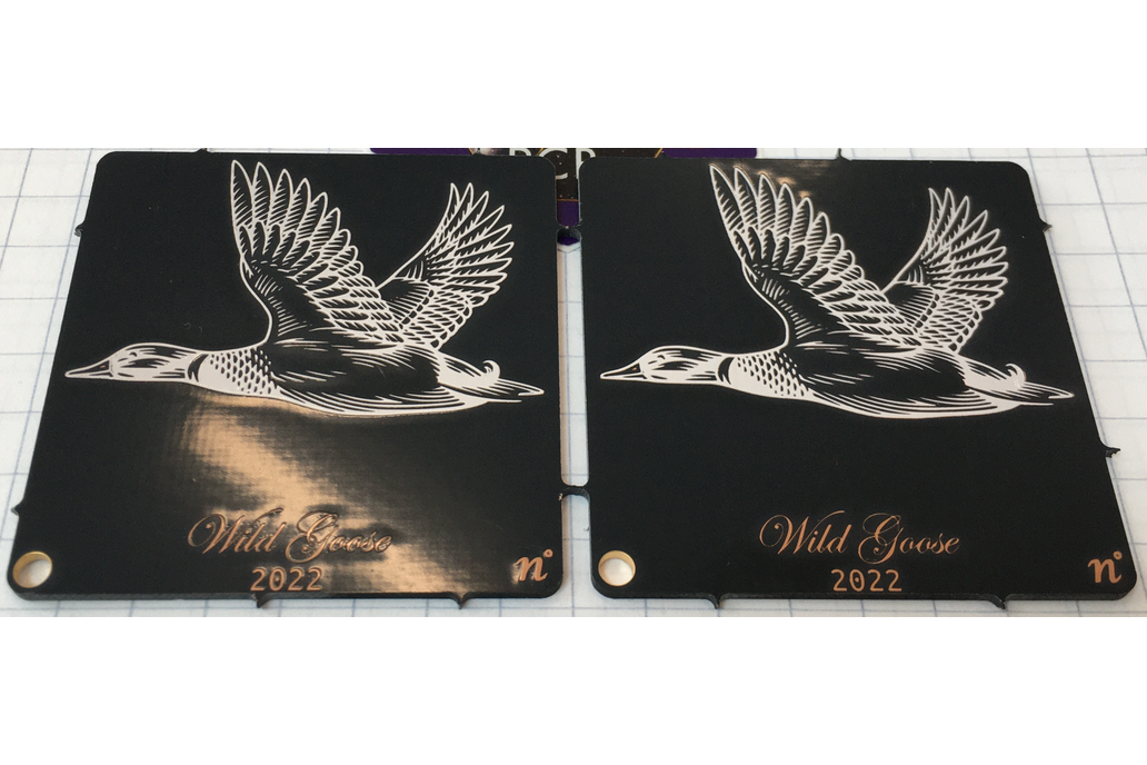 WildGoose 1