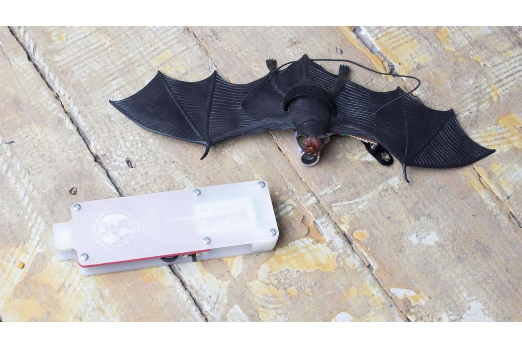 Bat Listener 1