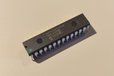 2025-07-15T23:57:05.906Z-chip_nino.jpg