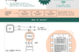 2025-03-25T08:59:47.166Z-IS4310 Flyer.png