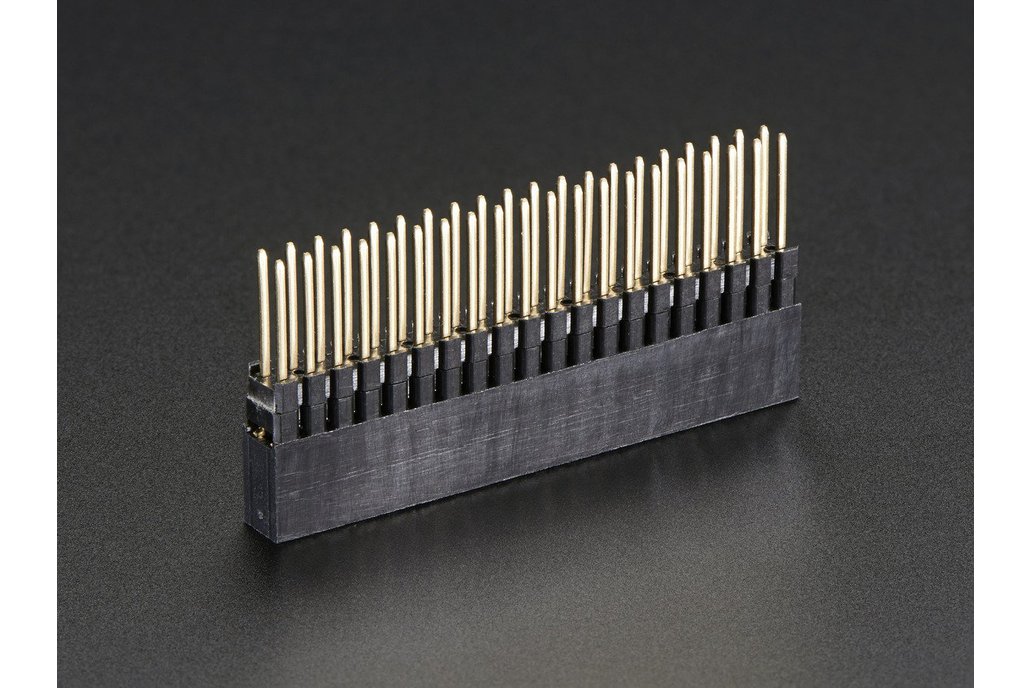 2x20 40-Pin GPIO Extended (Stacking) Header 1