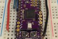 2017-02-10T07:25:40.585Z-ICS43434ButterflyAddOn.4.jpg
