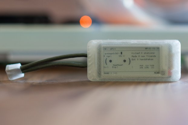 Complete Pwnagotchi Device