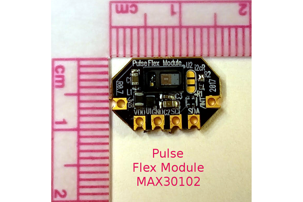 Pulse Flex Module 1