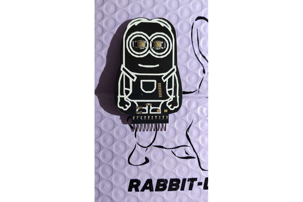 Rabbit-Labs - Minion Marauder 1